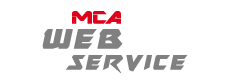 Logo of the Web Service module of MCA Kale software
