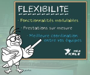 Illustration der Seite über die Flexibilität von Business-Software