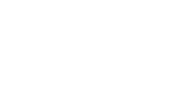 Logo mit einem LKW und einem Schiff als Symbol für Transportmanagement
