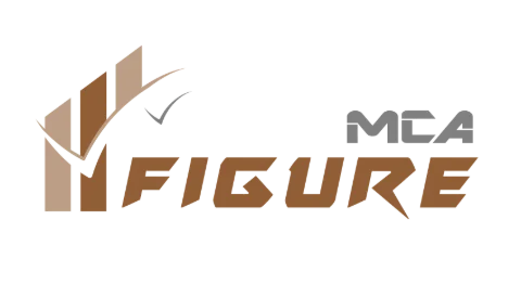 Logiciel MCA Figure